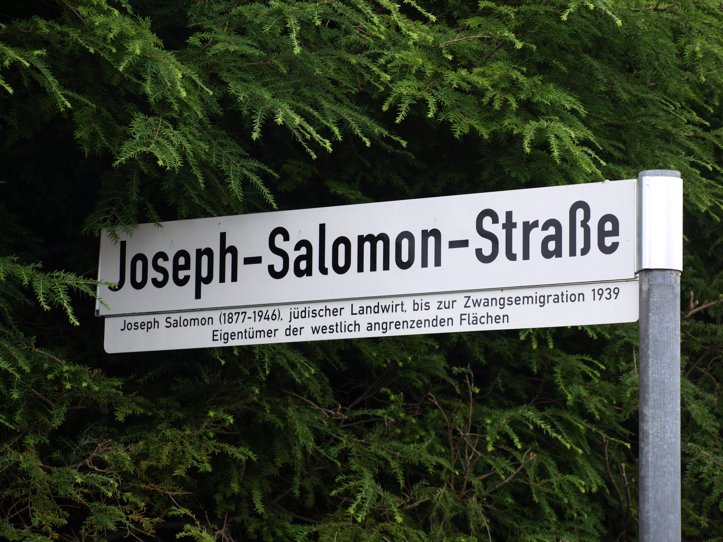 Joseph-Salomon-Straße – in die Zukunft blicken